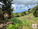 Vente Terrain Sainte-luce  2480 m2