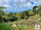 Vente Terrain Sainte-luce  5730 m2