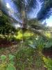 For sale Land Sainte-marie  675 m2