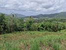 For sale Land Riviere-pilote  503 m2