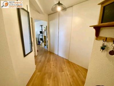 Annonce Location 2 pi�ces Appartement Toulouse 31