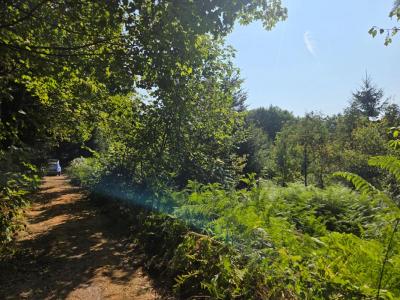 For sale Tholy 16790 m2 Vosges (88530) photo 0