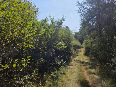 Acheter Terrain 16790 m2 Tholy