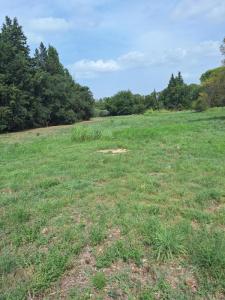 Annonce Vente Terrain Fontvieille 13