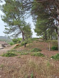 For sale Eyguieres 460 m2 Bouches du Rhone (13430) photo 0