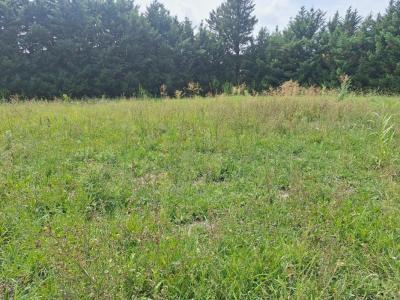 Annonce Vente Terrain Saint-remy-de-provence 13
