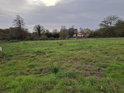 Annonce Vente Terrain Labrit 40