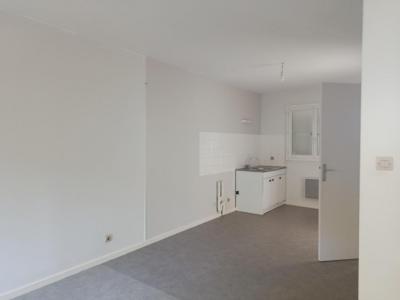 Acheter Maison 52 m2 Moras-en-valloire