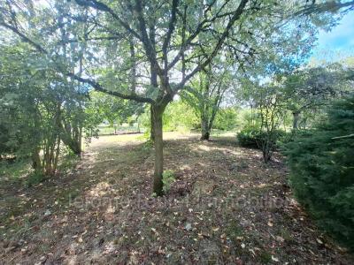 Annonce Vente 6 pi�ces Maison Lapleau 19