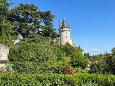 Annonce Vente Prestige Verteuil-sur-charente 16