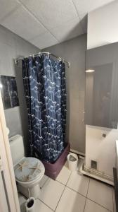 Louer Appartement 20 m2 Chamalieres