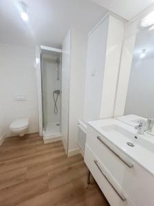 Annonce Location Appartement Toulouse 31