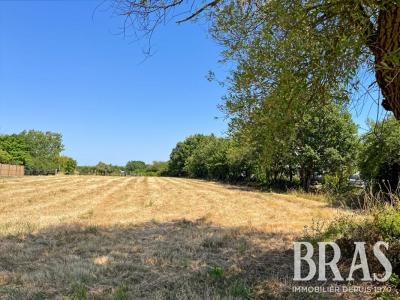 For sale Sables-d'olonne 1784 m2 Vendee (85100) photo 0