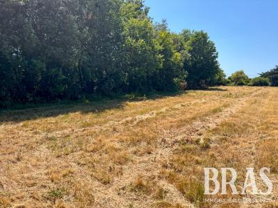Annonce Vente Terrain Sables-d'olonne 85