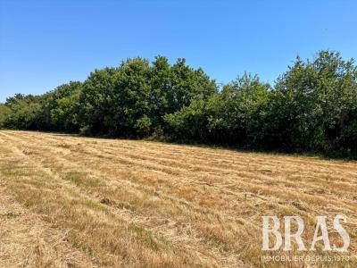 Acheter Terrain Sables-d'olonne Vendee