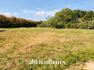 For sale Saint-vincent-de-tyrosse 720 m2 Landes (40230) photo 0