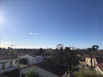 Annonce Location 2 pi�ces Appartement Montpellier 34