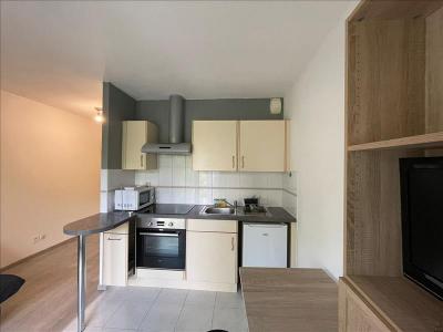 Annonce Location Appartement Sausheim 68