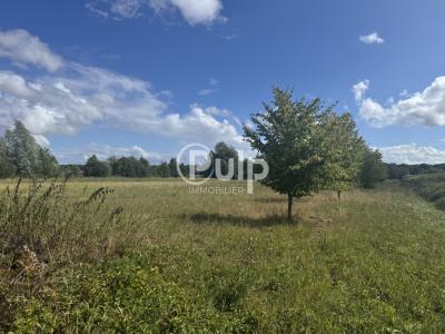 Acheter Maison Vieux-berquin 397000 euros