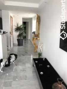 For rent Nice 2 rooms 35 m2 Alpes Maritimes (06200) photo 0