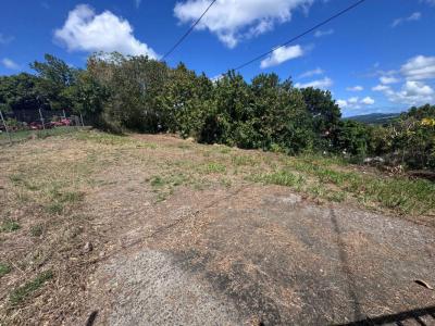 Annonce Location Terrain Riviere-salee 972