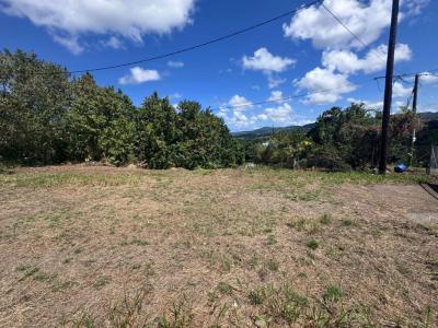 Louer Terrain 600 m2 Riviere-salee