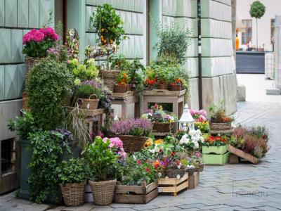Acheter Commerce 113 m2 Paris-17eme-arrondissement