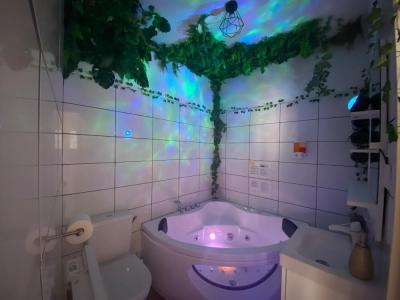 Louer Appartement Arbresle Rhone