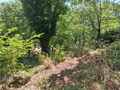Annonce Vente Terrain Bezaudun-les-alpes 06