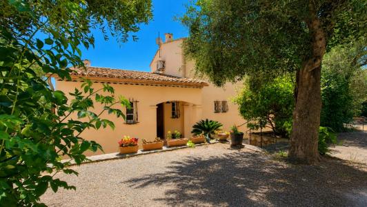Annonce Vente 6 pi�ces Maison Speracedes 06