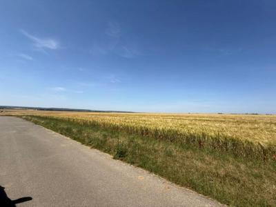Acheter Terrain 246 m2 Neauphle-le-vieux