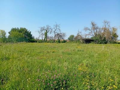 Annonce Vente Terrain Belveze-du-razes 11