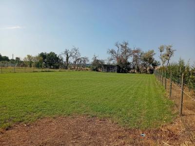 Acheter Terrain 1760 m2 Belveze-du-razes