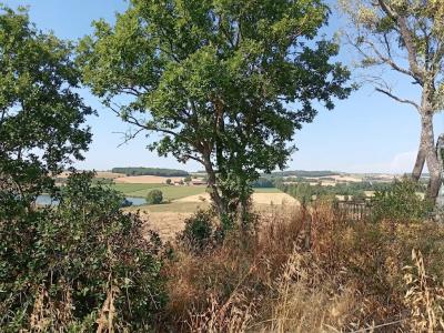 Acheter Terrain Belveze-du-razes Aude