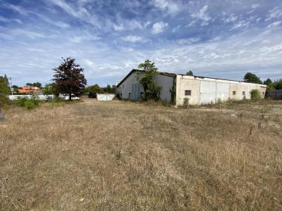 Annonce Vente Terrain Onesse-et-laharie 40
