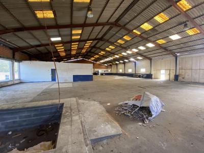 Acheter Commerce 1692 m2 Onesse-et-laharie