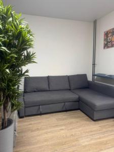 Louer Appartement 21 m2 Paris-13eme-arrondissement