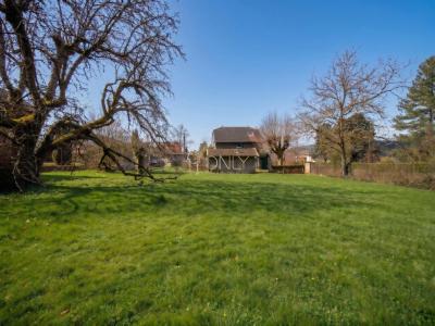For sale Neuville-sur-saone 963 m2 Rhone (69250) photo 3