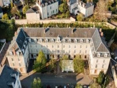 Annonce Location 2 pi�ces Appartement Laval 53