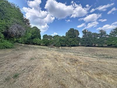 Acheter Terrain 10035 m2 Saint-priest-taurion