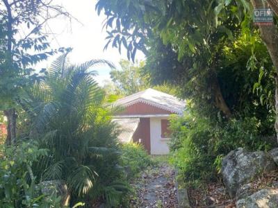 Annonce Vente Terrain Saint-paul 974