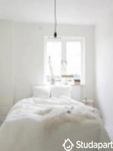 Annonce Location 2 pi�ces Appartement Paris-8eme-arrondissement 75