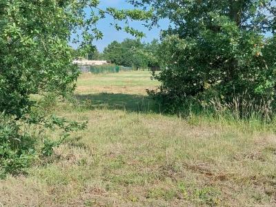 Annonce Vente Terrain Negrepelisse 82