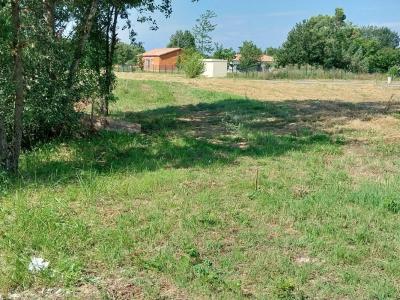 Acheter Terrain 631 m2 Negrepelisse