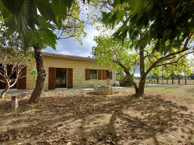 For sale Pugnac 6 rooms 150 m2 Gironde (33710) photo 0