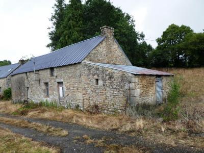 Annonce Vente Maison Ploerdut 56