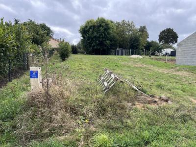 Acheter Terrain 458 m2 Champtoceaux