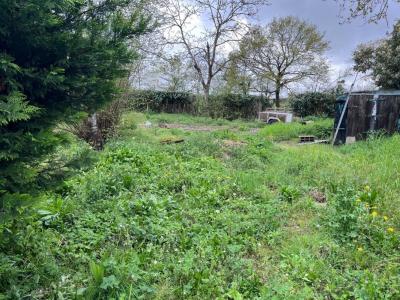 Annonce Vente Terrain Riaille 44
