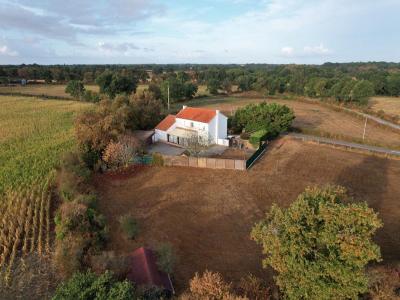 Acheter Maison 185 m2 Saint-hilaire-de-chaleons