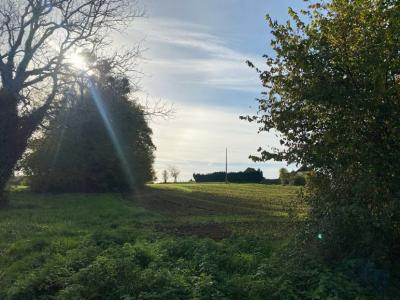 Acheter Maison Lanouaille 29000 euros